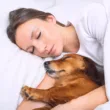 Kaszel kenelowy u psa - objawy I leczenie